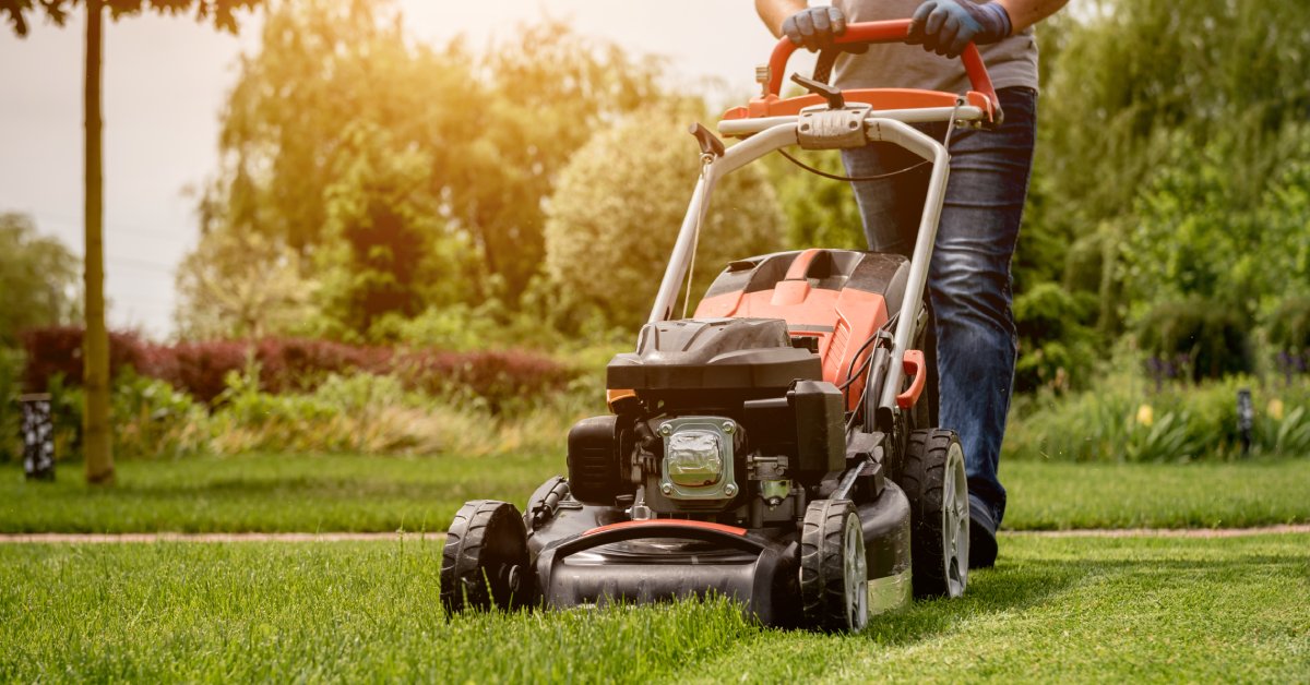 A man mowing a grass lawn with an orange and black push mower with half the lawn cut and half uncut.